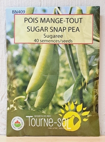 SEEDS - Pea Snap Sugaree (Tourne-sol)